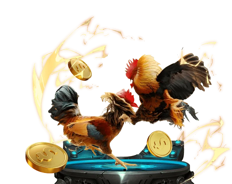 Hướng dẫn cho người mới bắt đầu tại 88clb buzz